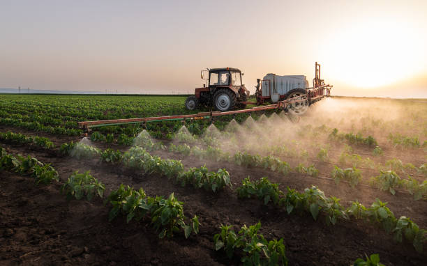 Best Best Pest Control Companies  in Mineral Point, WI