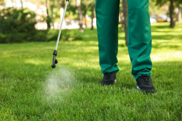 Best Mosquito Control Services  in Mineral Point, WI