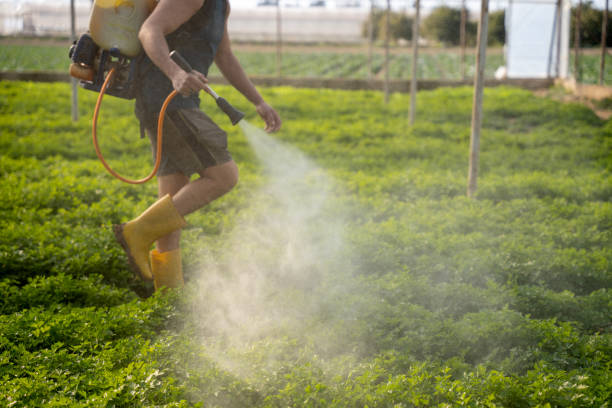 Best Affordable Pest Control Services  in Mineral Point, WI