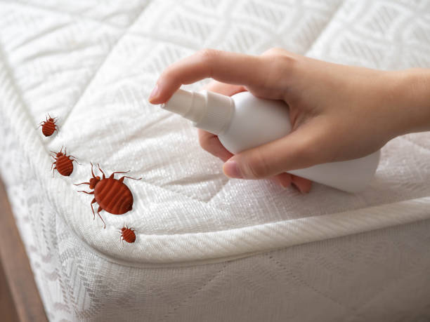 Best Mosquito Control Services  in Mineral Point, WI