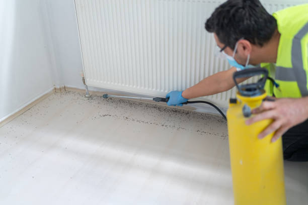 Best Pest Control Treatment  in Mineral Point, WI