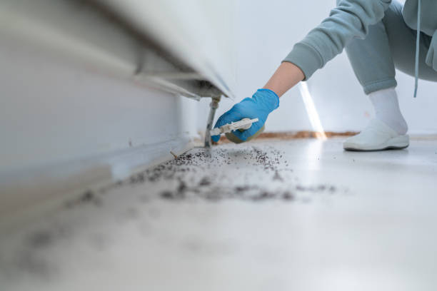 Mineral Point, WI Pest Control Company