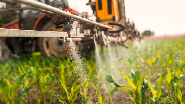 Best Pest Prevention Services  in Mineral Point, WI